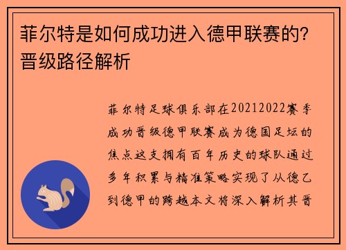 菲尔特是如何成功进入德甲联赛的？晋级路径解析
