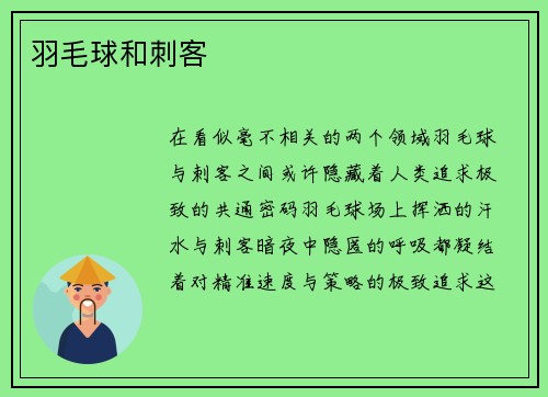 羽毛球和刺客